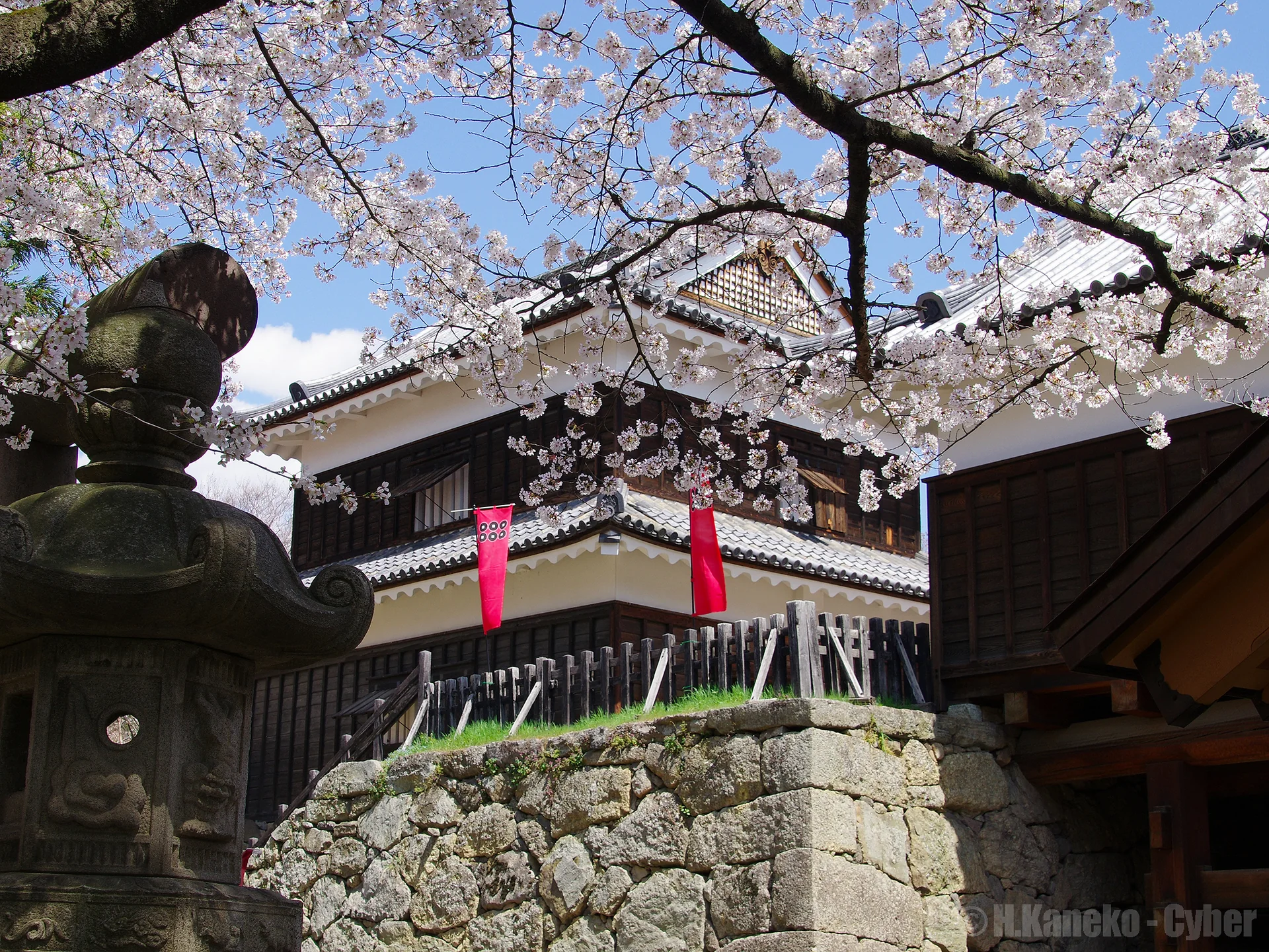 桜が咲く上田城東虎口櫓門